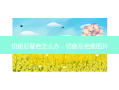 切痣后留疤怎么办，切痣后疤痕图片