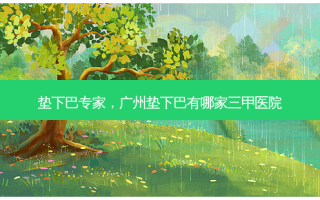 垫下巴专家，广州垫下巴有哪家三甲医院