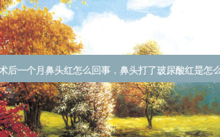 隆鼻术后一个月鼻头红怎么回事，鼻头打了玻尿酸红是怎么回事
