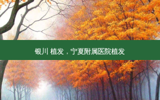 银川 植发，宁夏附属医院植发