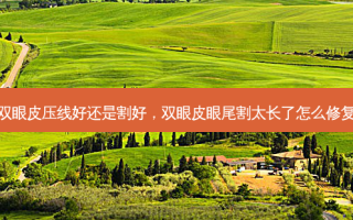 双眼皮压线好还是割好，双眼皮眼尾割太长了怎么修复