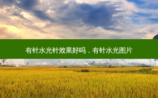 有针水光针效果好吗，有针水光图片