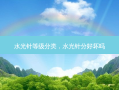 水光针等级分类，水光针分好坏吗