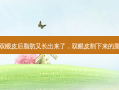 割双眼皮后脂肪又长出来了，双眼皮割下来的脂肪