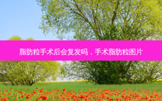 脂肪粒手术后会复发吗，手术脂肪粒图片
