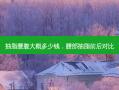 抽脂腰腹大概多少钱，腰部抽脂前后对比