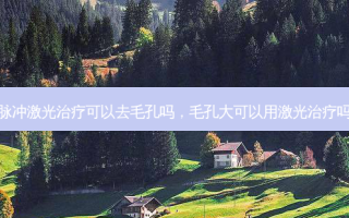 脉冲激光治疗可以去毛孔吗，毛孔大可以用激光治疗吗