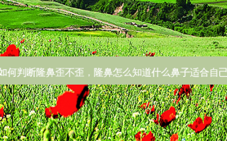 如何判断隆鼻歪不歪，隆鼻怎么知道什么鼻子适合自己