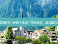 玻尿酸有几种牌子优选广州美来选，玻尿酸排名