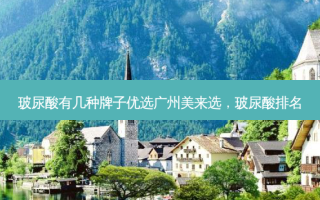 玻尿酸有几种牌子优选广州美来选，玻尿酸排名