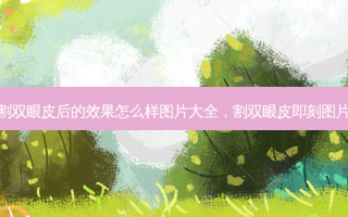 割双眼皮后的效果怎么样图片大全，割双眼皮 *** 图片