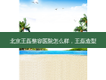 北京王磊整容医院怎么样，王磊造型