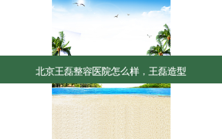 北京王磊整容医院怎么样，王磊造型