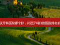 武汉牙科医院哪个好，武汉牙科口腔医院排名前十