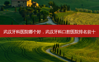 武汉牙科医院哪个好，武汉牙科口腔医院排名前十