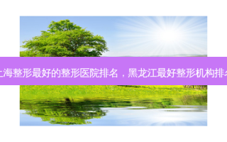 上海整形 *** 好的整形医院排名，黑龙江 *** 好整形机构排名