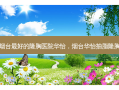 烟台 *** 好的隆胸医院华怡，烟台华怡抽脂隆胸