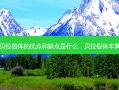 贝拉假体的优点和缺点是什么，贝拉假休丰胸
