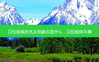 贝拉假体的优点和缺点是什么，贝拉假休丰胸
