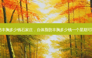 自体脂肪丰胸多少钱石家庄，自体脂肪丰胸多少钱一个星期可以上班吗