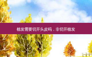 植发需要切开头皮吗，非切开植发