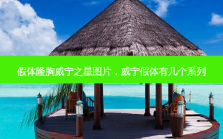 假体隆胸威宁之星图片，威宁假体有几个系列