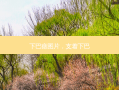 下巴痣图片，支着下巴