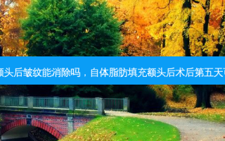 自体脂肪填充额头后皱纹能消除吗，自体脂肪填充额头后术后第五天可以吃黄豆芽吗