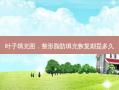 叶子填充图，整形脂肪填充恢复期是多久