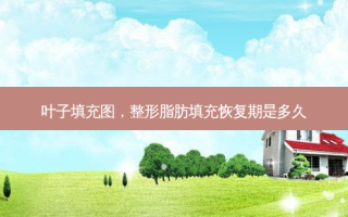 叶子填充图，整形脂肪填充恢复期是多久