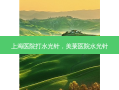 上海医院打水光针，美莱医院水光针