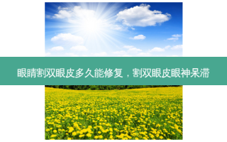 眼睛割双眼皮多久能修复，割双眼皮眼神呆滞