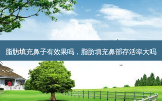 脂肪填充鼻子有效果吗，脂肪填充鼻部 *** 大吗