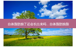 自体脂肪抽了还会长出来吗，自体脂肪抽脂