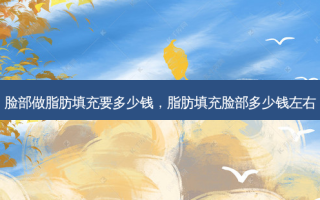 脸部做脂肪填充要多少钱，脂肪填充脸部多少钱左右