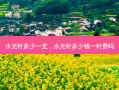 水光针多少一支，水光针多少钱一针贵吗