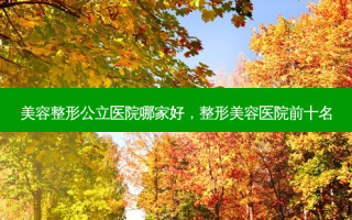 美容整形公立医院哪家好，整形美容医院前十名