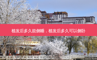 植发后多久能侧睡，植发后多久可以侧卧