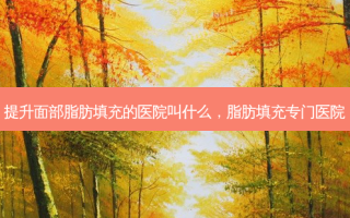提升面部脂肪填充的医院叫什么，脂肪填充专门医院