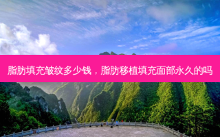 脂肪填充皱纹多少钱，脂肪移植填充面部永久的吗