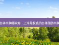 上海自体丰胸哪家好，上海 ***  *** 的自体脂肪丰胸医院