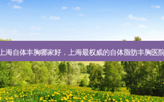 上海自体丰胸哪家好，上海 ***  *** 的自体脂肪丰胸医院