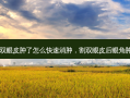 割双眼皮肿了怎么快速消肿，割双眼皮后眼角肿了
