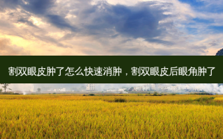 割双眼皮肿了怎么快速消肿，割双眼皮后眼角肿了