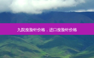 九院瘦脸针价格，进口瘦脸针价格