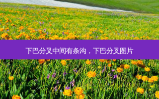 下巴分叉中间有条沟，下巴分叉图片