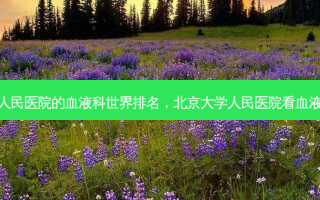 北京大学人民医院的血液科世界排名，北京大学人民医院看血液病怎么样