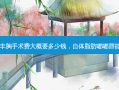 自体脂肪丰胸手术费大概要多少钱，自体脂肪嘟嘟唇能保持多久
