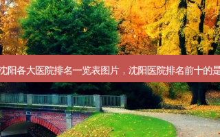 沈阳各大医院排名一览表图片，沈阳医院排名前十的是