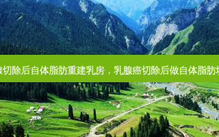 乳腺切除后自体脂肪重建 *** ，乳腺癌切除后做自体脂肪填充